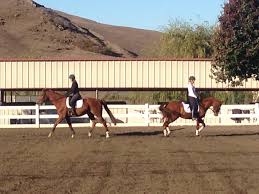 American Canyon Training Center – Premier Horse Layover in Northern California