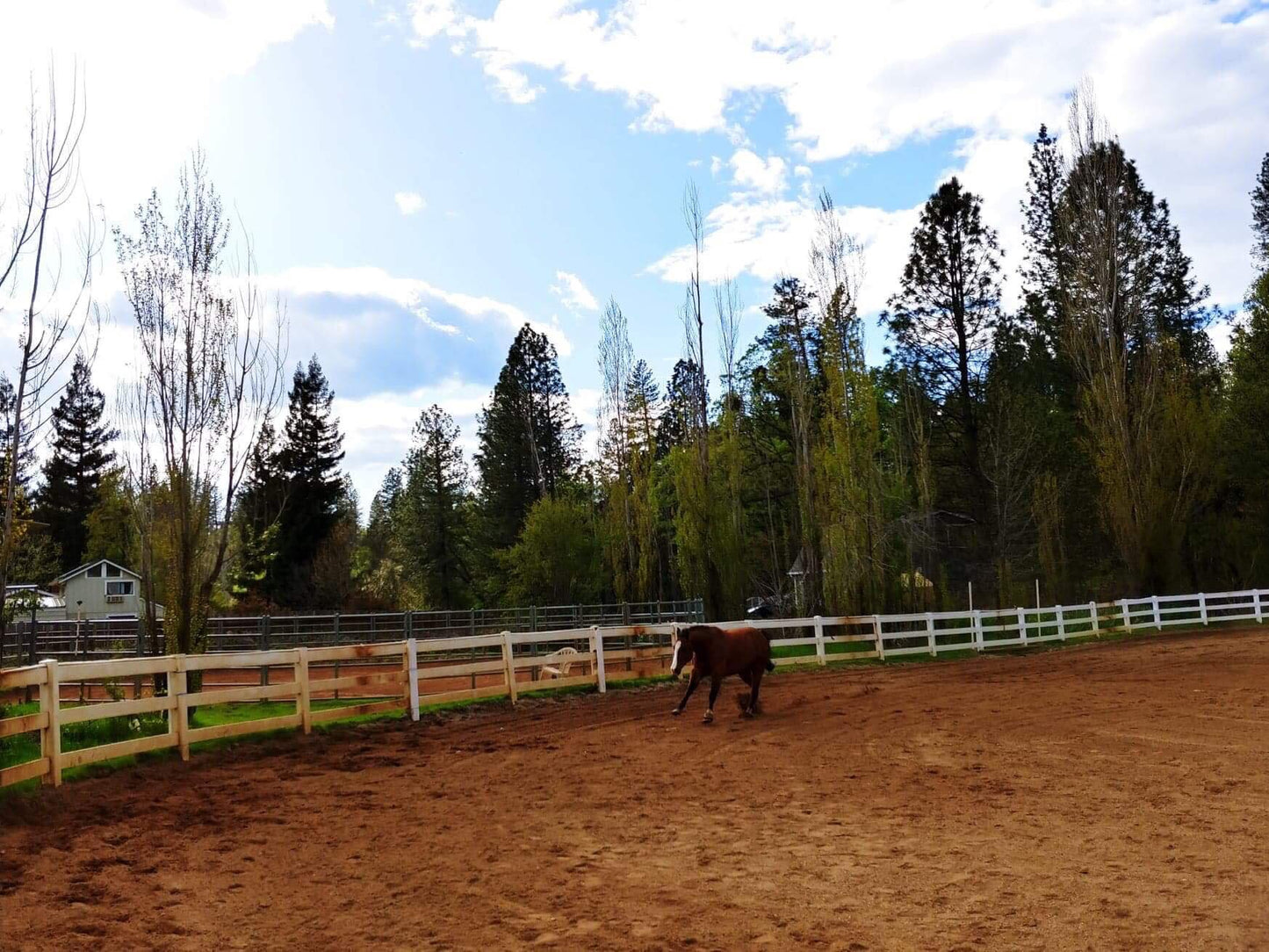 Fair Valley Ranch – A Convenient Horse Layover in Grass Valley, California