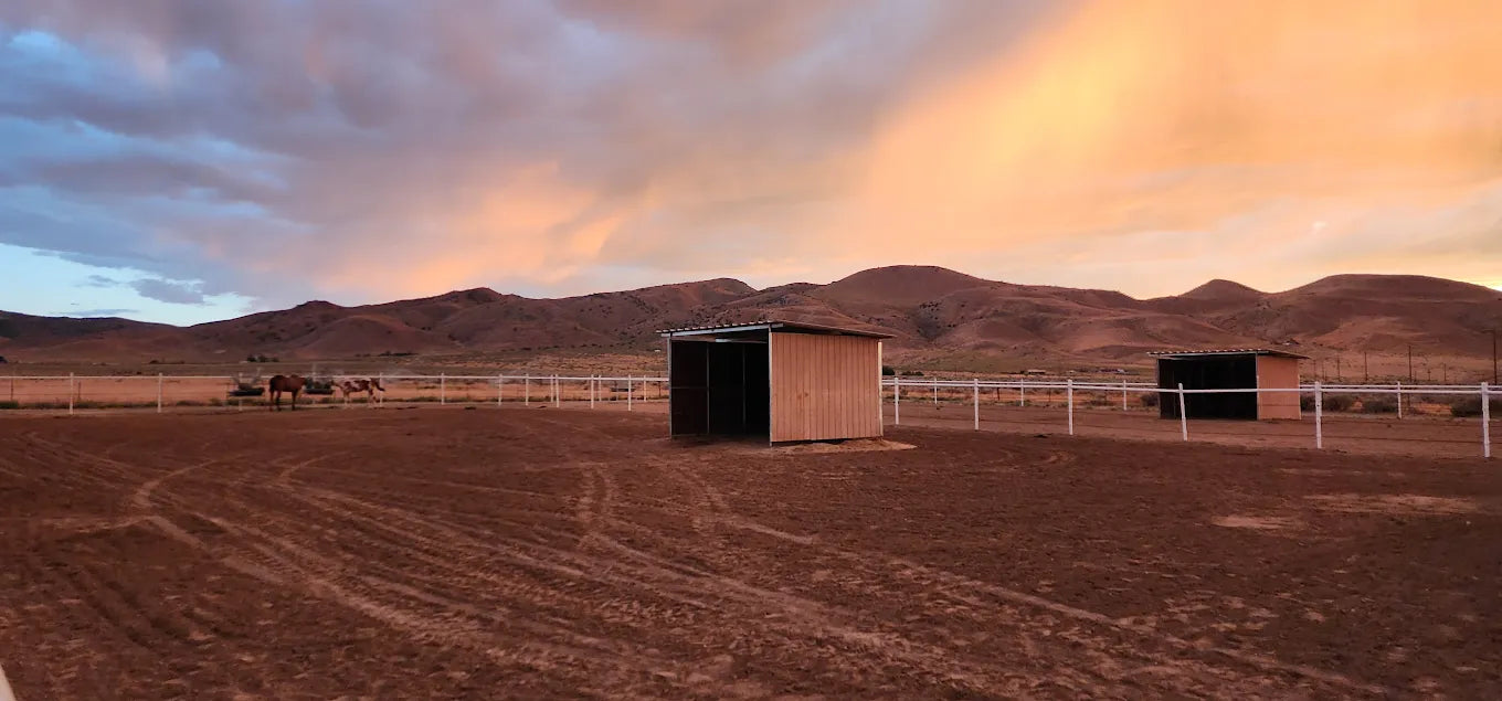 High Desert Equine Center – Premier Horse Layover in Reno, Nevada
