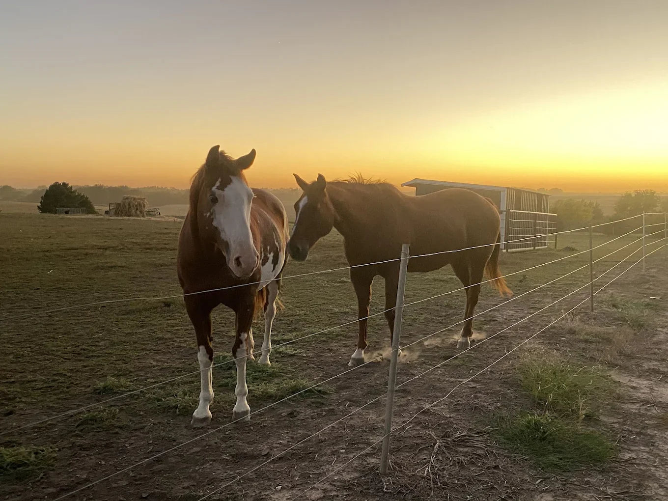 Triple E Equine – A Premier Equine Retreat in Beaver Crossing, Nebraska