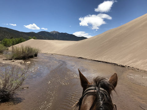 Zapata Ranch – Mosca, CO