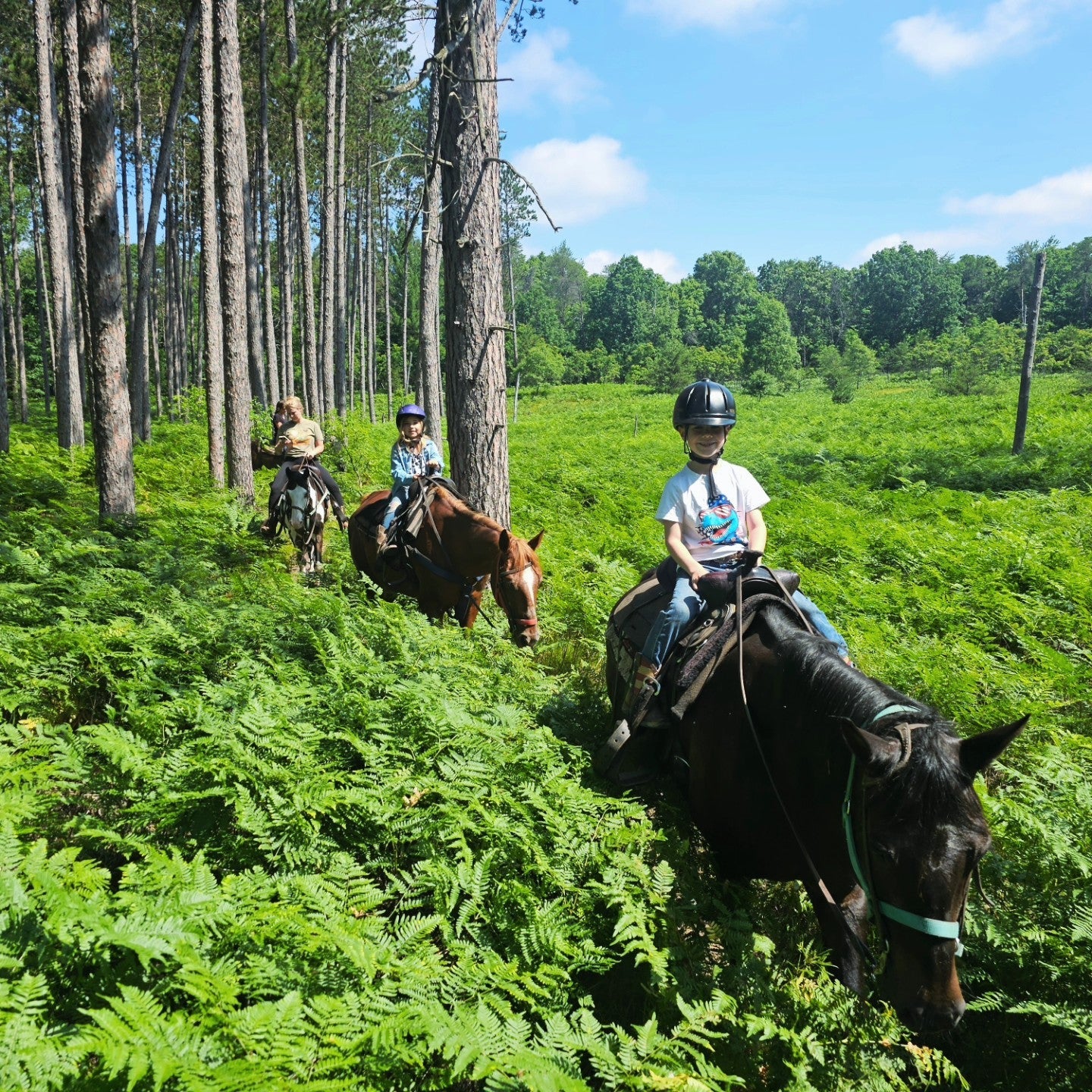 Horse Vacations