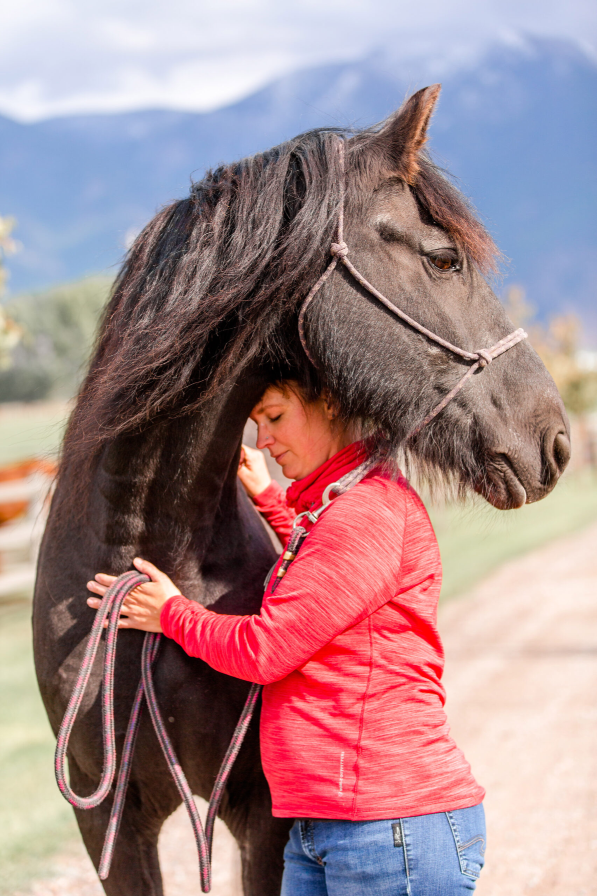 Firefly Horse Co.