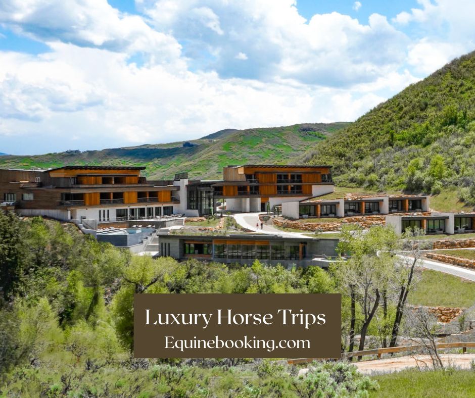 EquineBooking.com