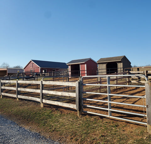 The Best I-81 Layover You Haven't Found Yet GemStone Stable in Hagerstown, Maryland