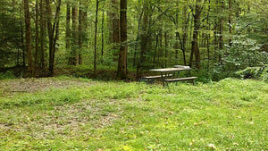 Great Smoky Mountains: Big Creek Horse Camp