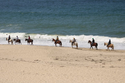 Beach Horseback Riding Adventures in CA