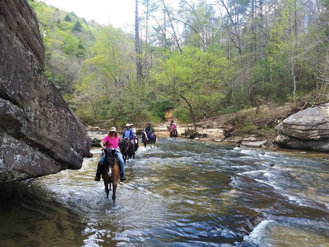 Big South Fork National River & Recreation Area: Bandy Campground