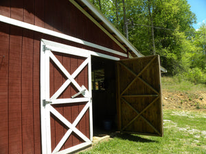 Your Base Camp for Willis Knob: Why Riders Are Booking Black Rock Mountain Barn and Cabin