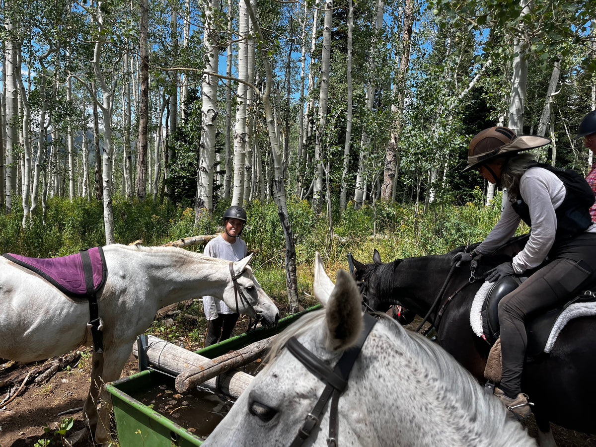 Tina + Jammer: Endurance, Solo Horse Camping, and the Joy of Going the Distance