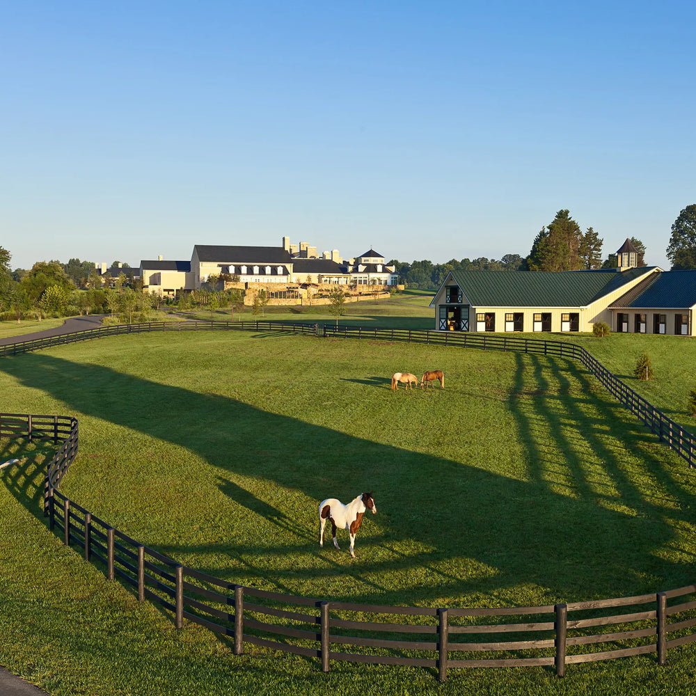Salamander Resort &amp; Spa – Middleburg, VA