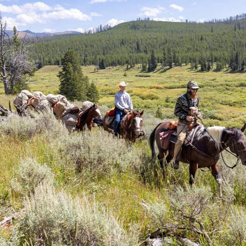 Yellowstone National Park: Backcountry Campsites