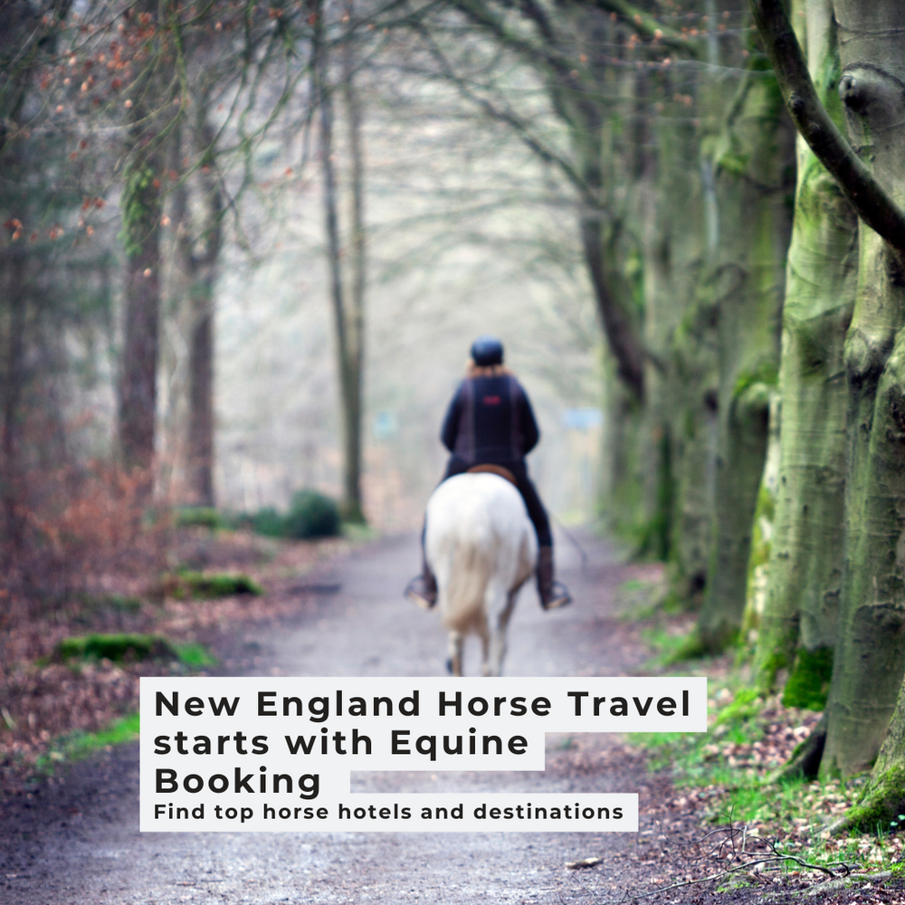 Unforgettable Horse Adventures in New England: Ride Through History &amp; Scenic Beauty