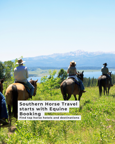 Discover Equine Bliss: Horse Hotels, Camping, and Adventures Await in the South