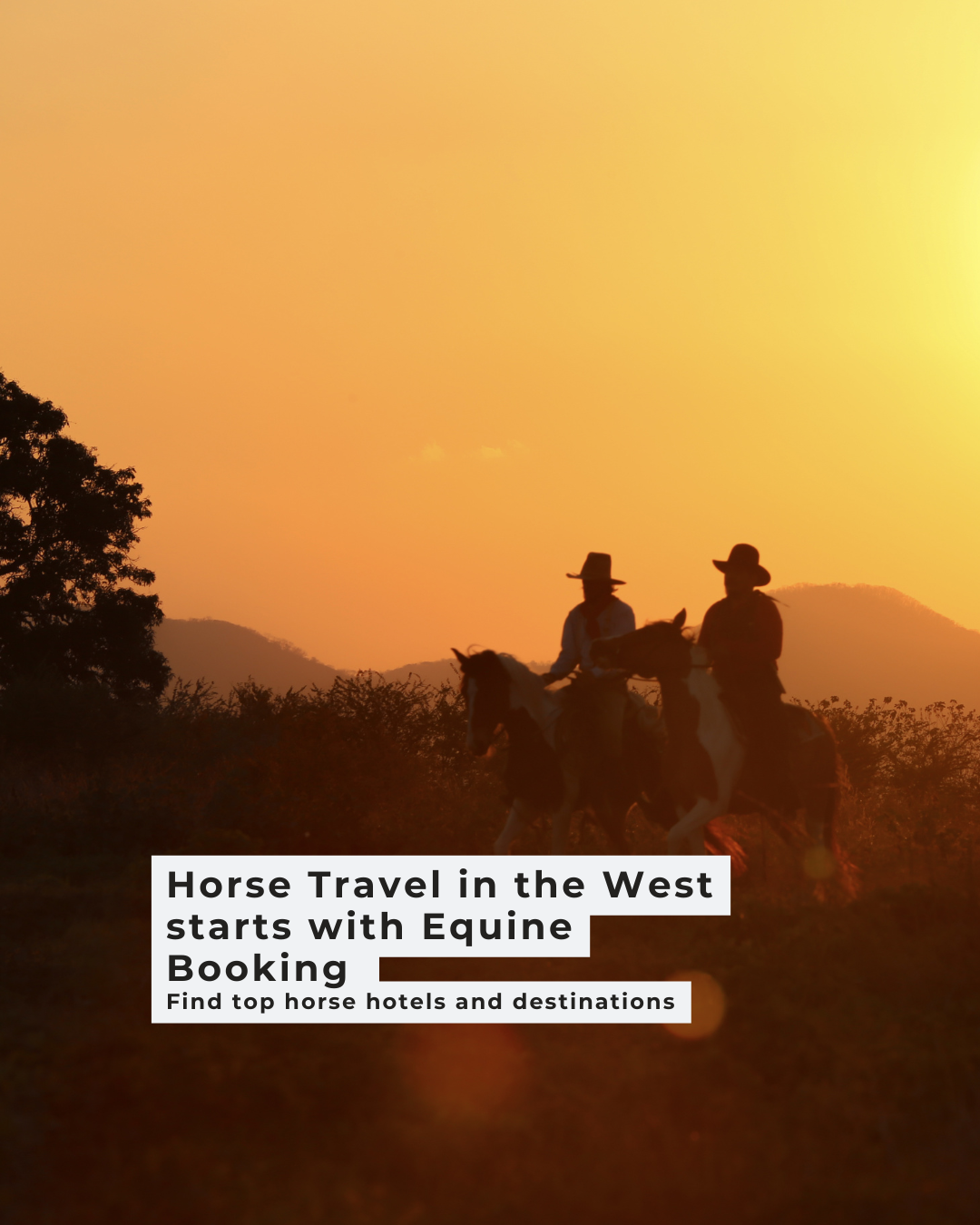 Sunsets Await in the West: Must-Ride Trails &amp; Horse-Friendly Stays