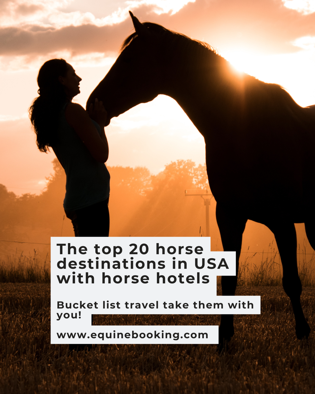 Top 20 horse destinations in the USA with horse hotels