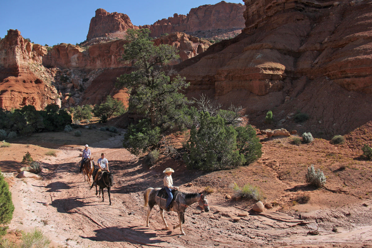 Capitol Reef National Park: Capitol Reef Equestrian Sites