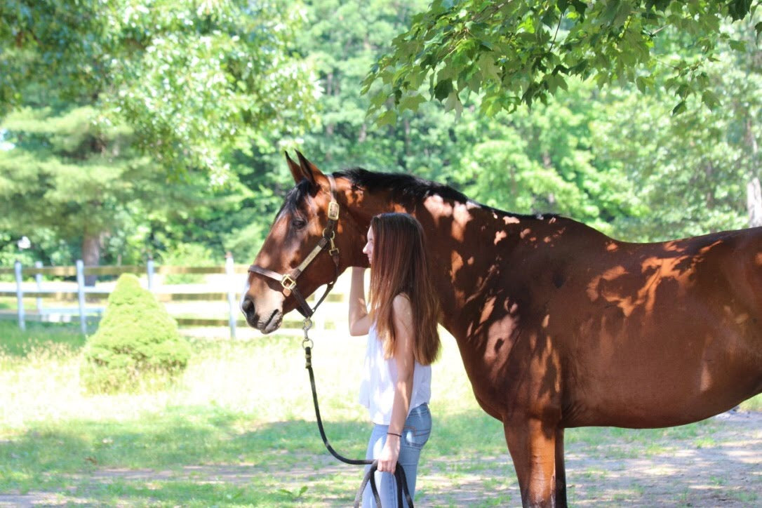 Equine Blvd. – Agawam, MA