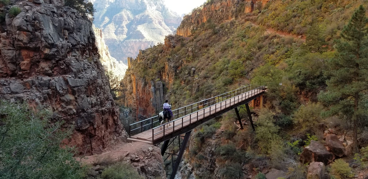 Grand Canyon National Park: Backcountry and more