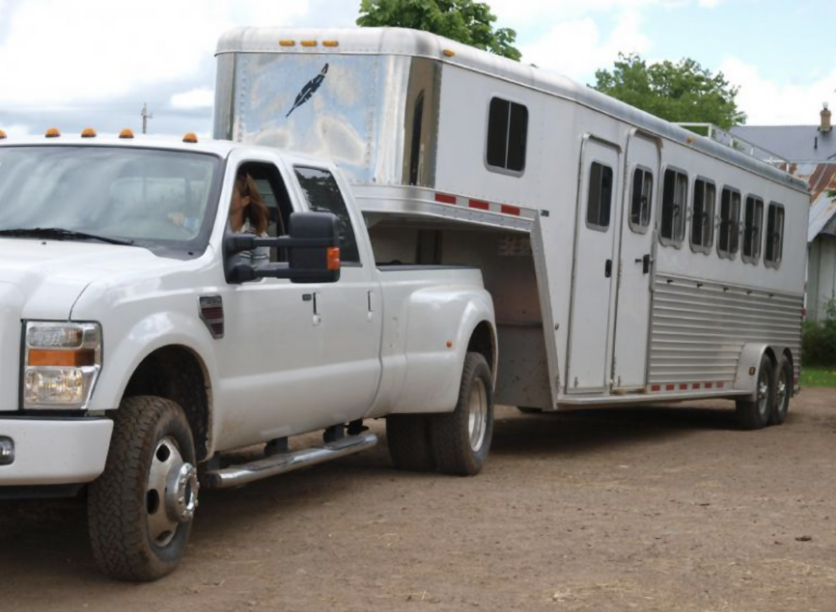 Finding the Perfect Horse Hotel for Your Next Adventure