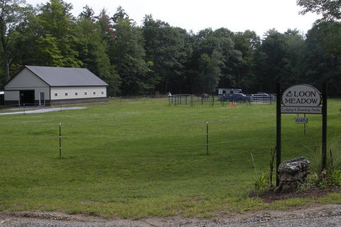 Loon Meadow Farm, Greenfield Center, NY