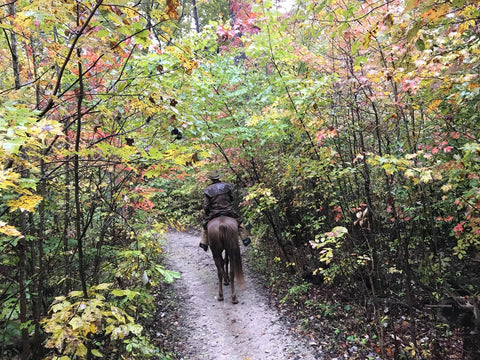 Mamouth Cave National Park: Maple Springs Horse Camp