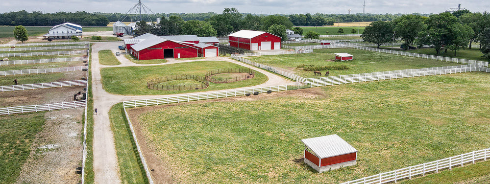 Maple Crest Horse Farm – A Premier Equine Destination in Castalia, Ohio