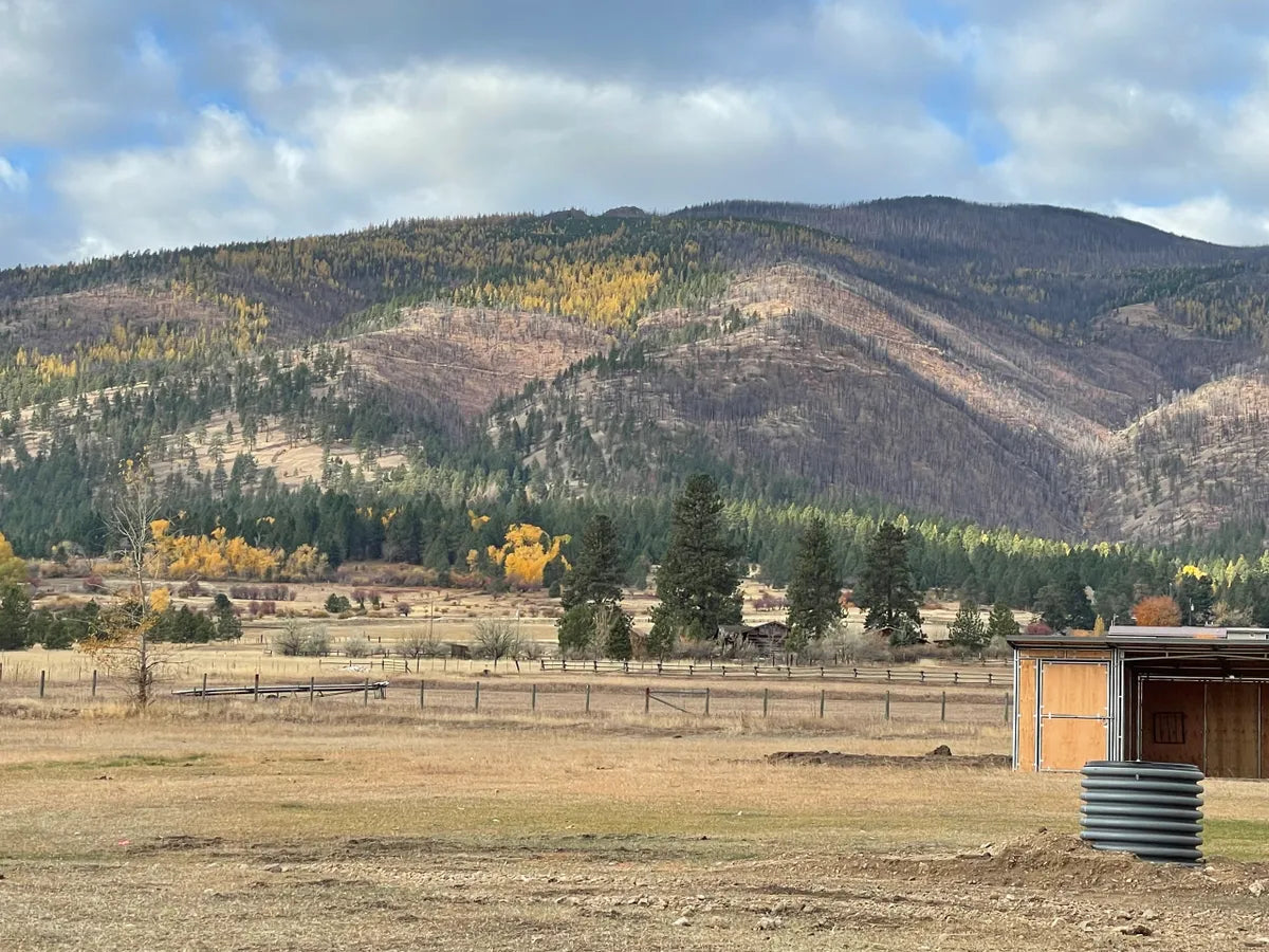 Maple Mounten Stables, Florence MT