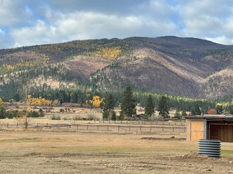 Maple Mounten Stables, Florence MT