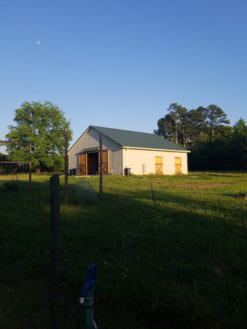 Patient Wait - Piedmont, South Carolina