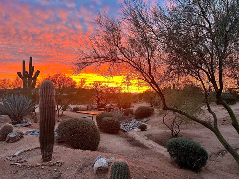 Rio Rancho Verde, Scottsdale, Arizona