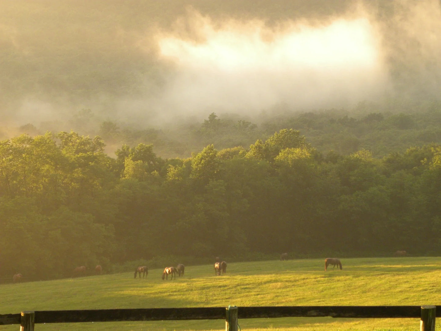 The Windy Ridge, Bethel PA