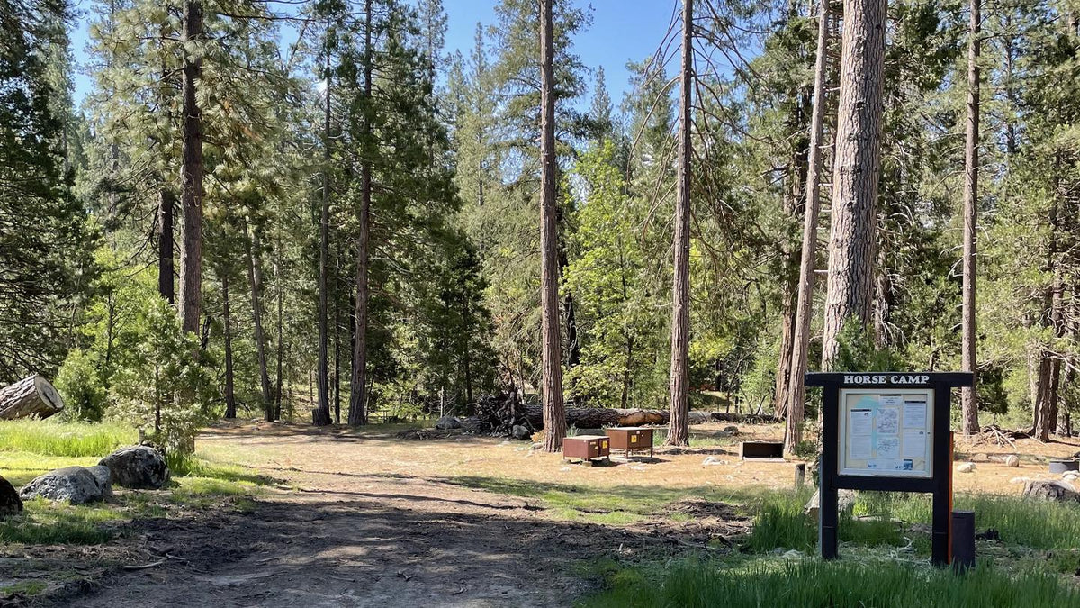 Yosemite National Park: Wawona Horse Camp