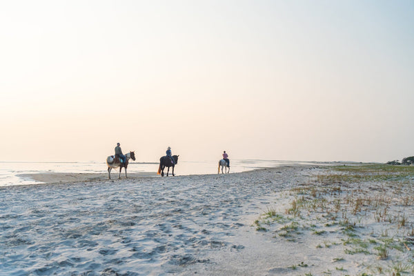 Beach rides