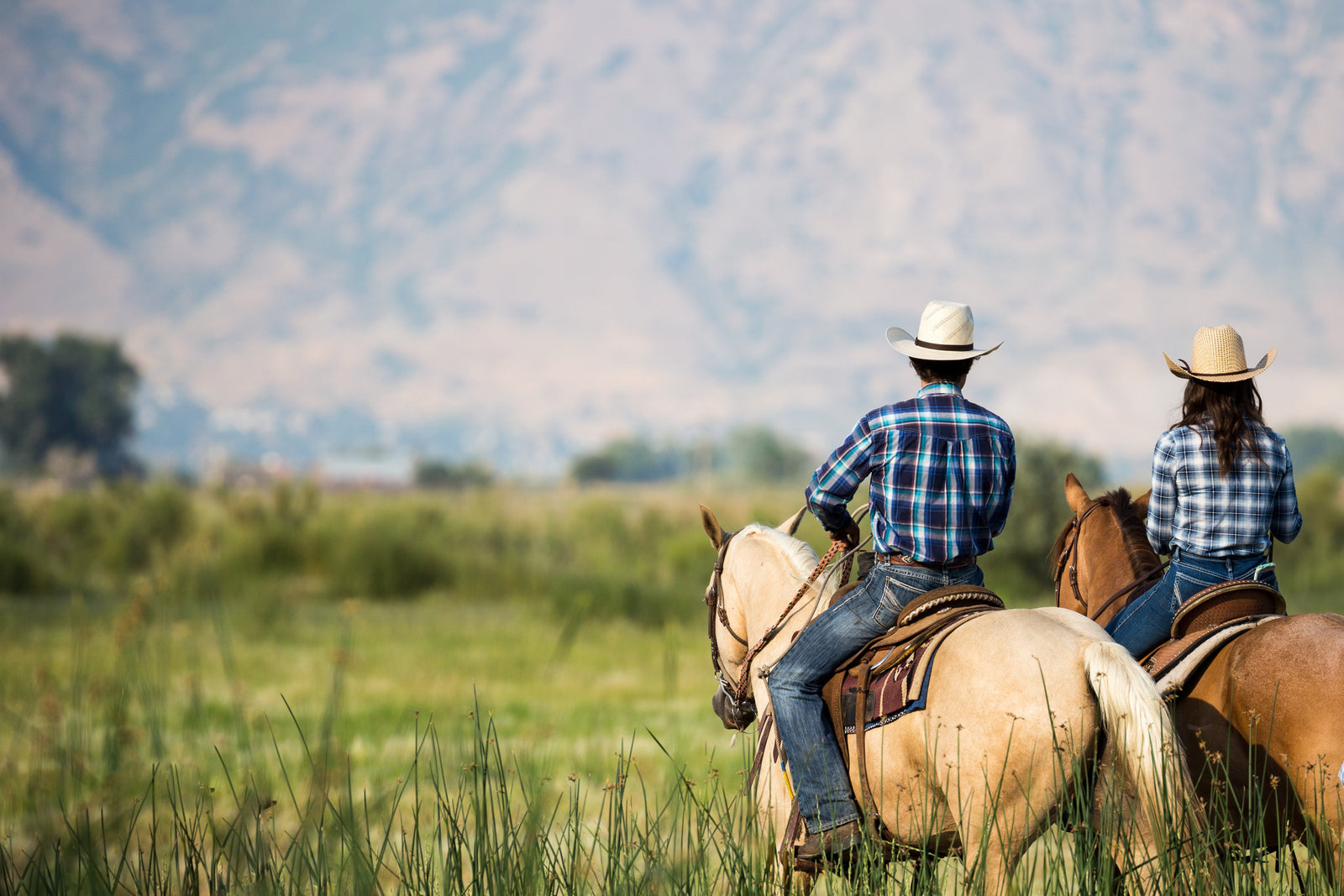 Horse Experiences & Rides