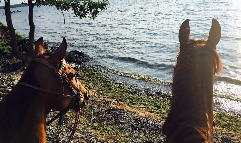 Green Mountain Stables, LLC