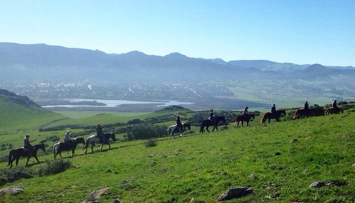 
                      
                        Madonna Inn Trail Rides
                      
                    