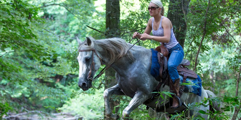 
                      
                        Brushy Creek Guest Ranch
                      
                    