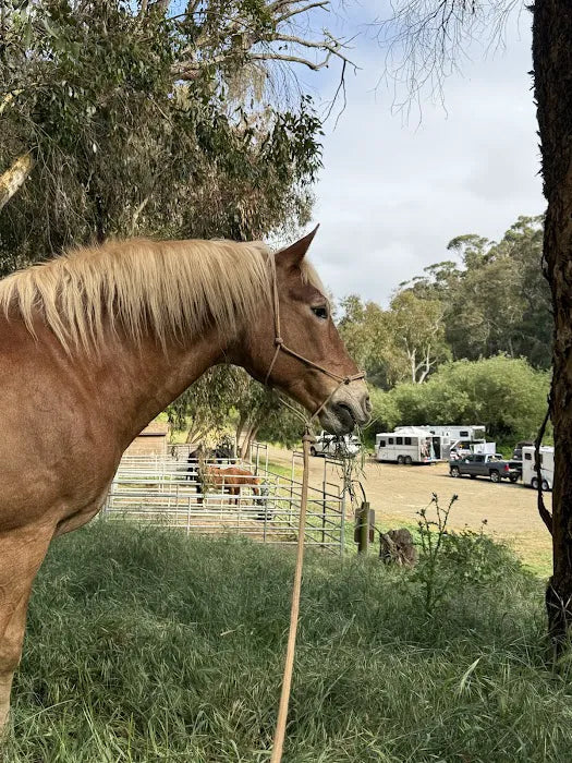 Montaña de Oro State Park Horse Camp