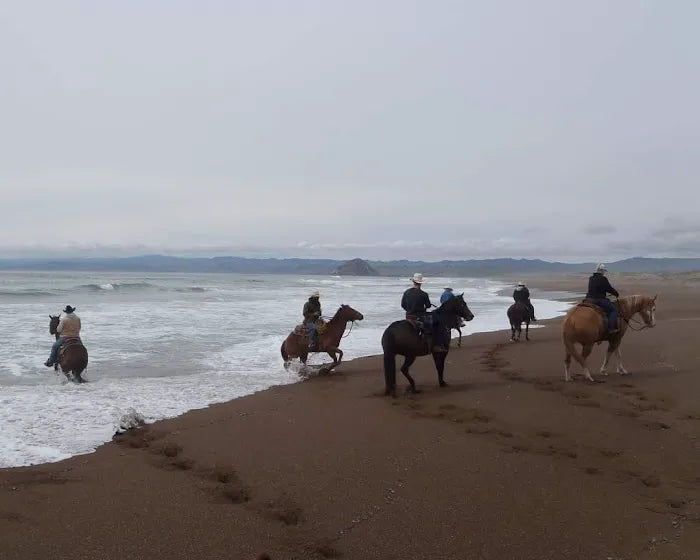 Montaña de Oro State Park Horse Camp