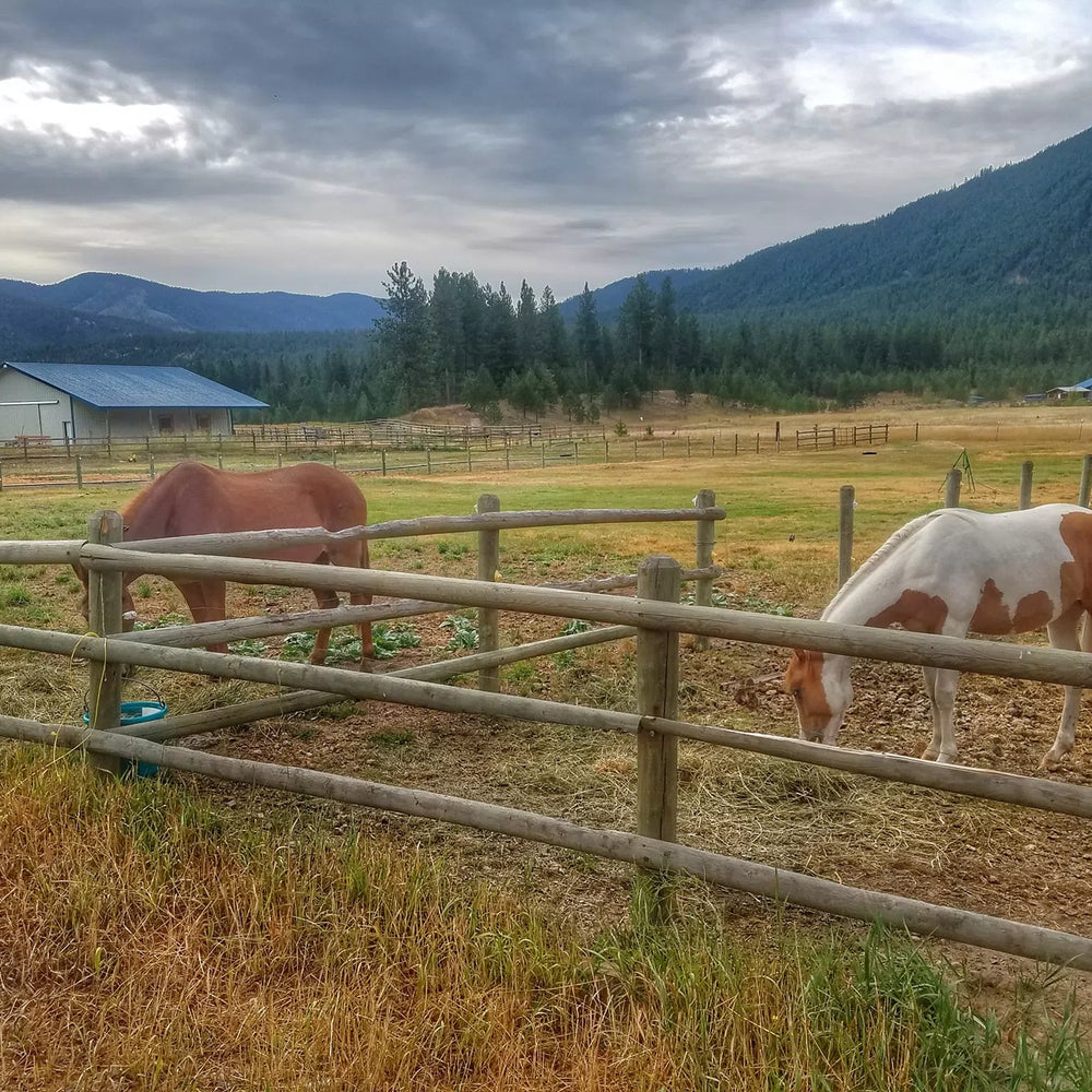 Hoods Western Adventures