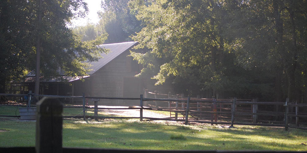 Brushy Creek Guest Ranch
