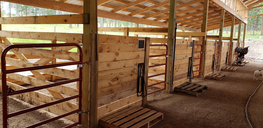 
                      
                        Bridle Ridge Horse & RV Camp
                      
                    