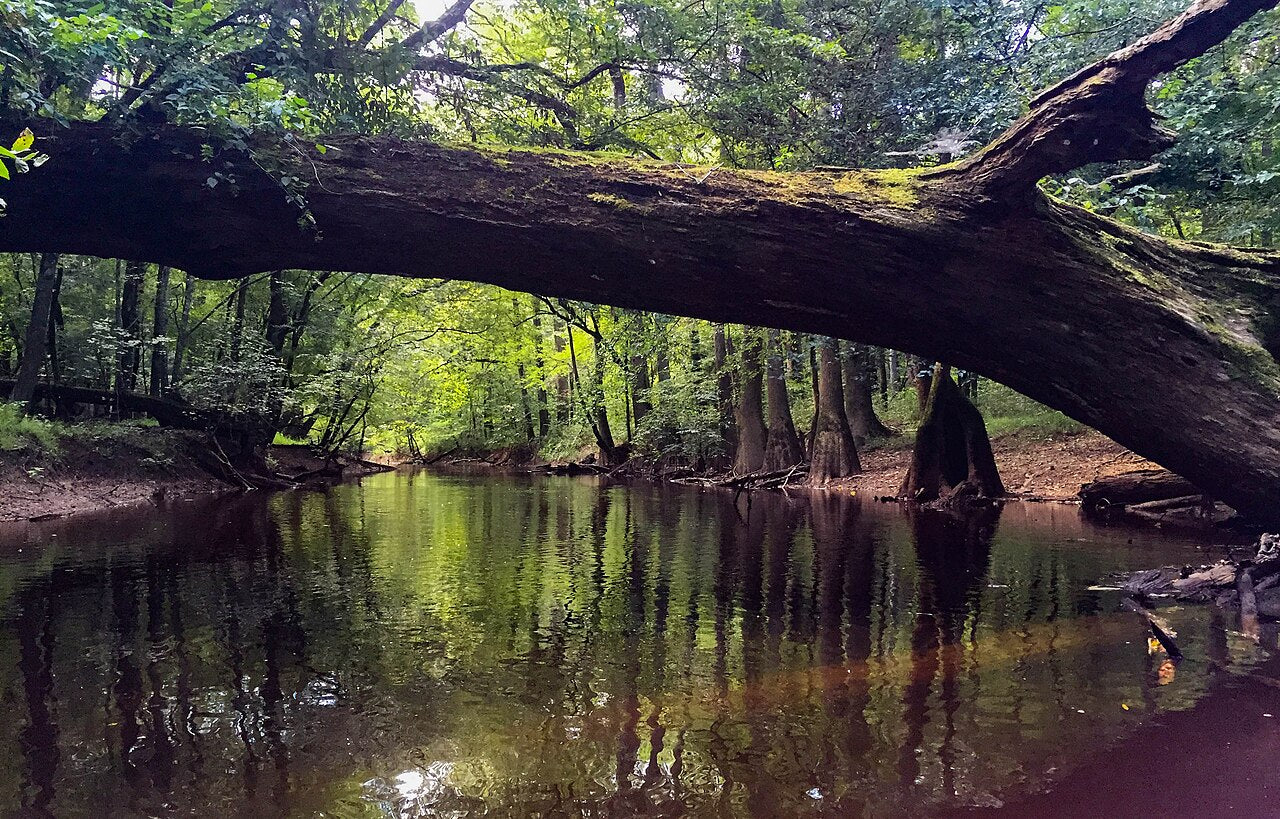 South Carolina