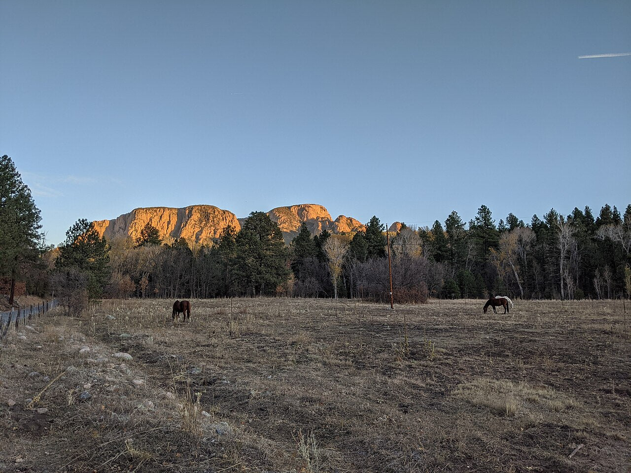 New Mexico