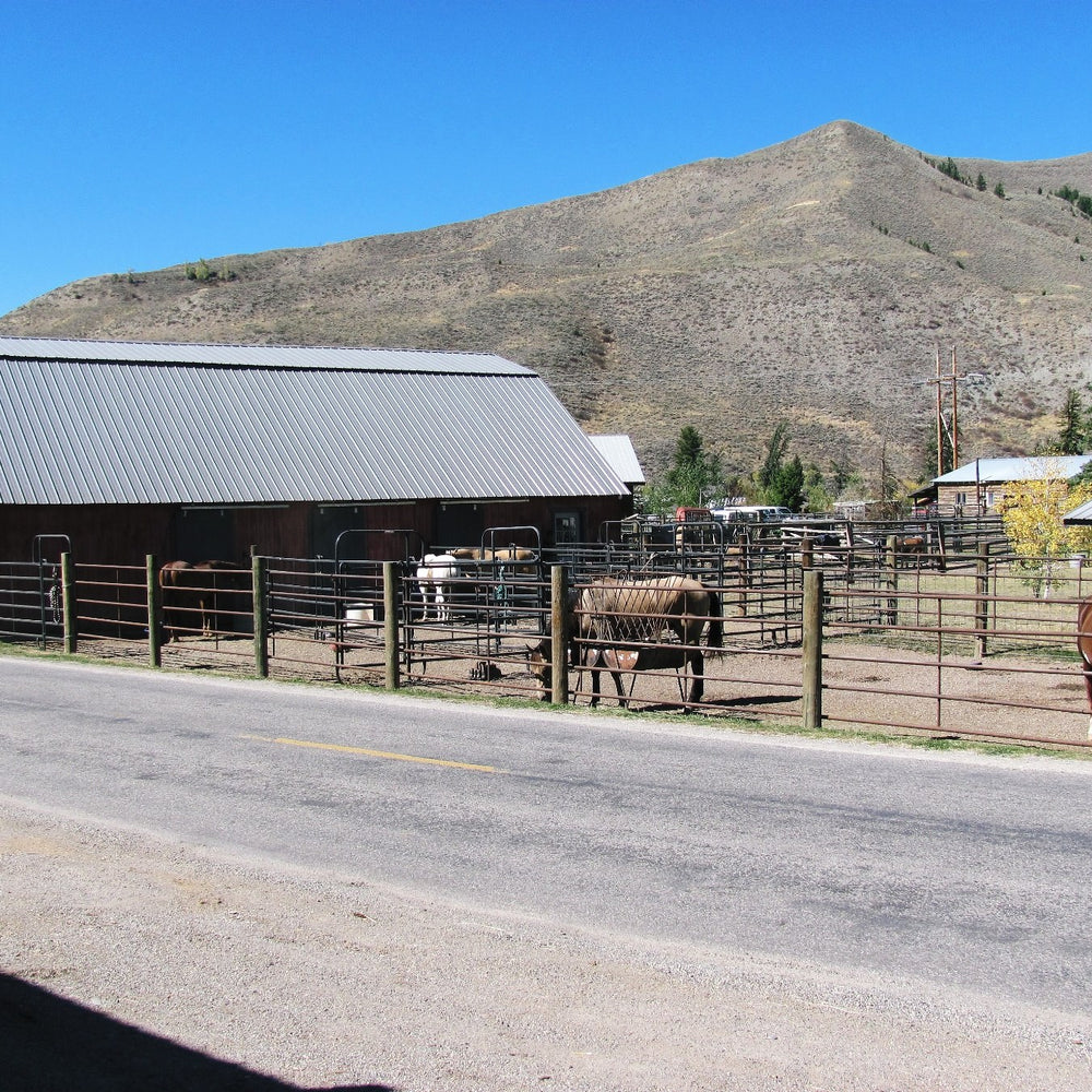 
                      
                        Valar Horse Facility
                      
                    