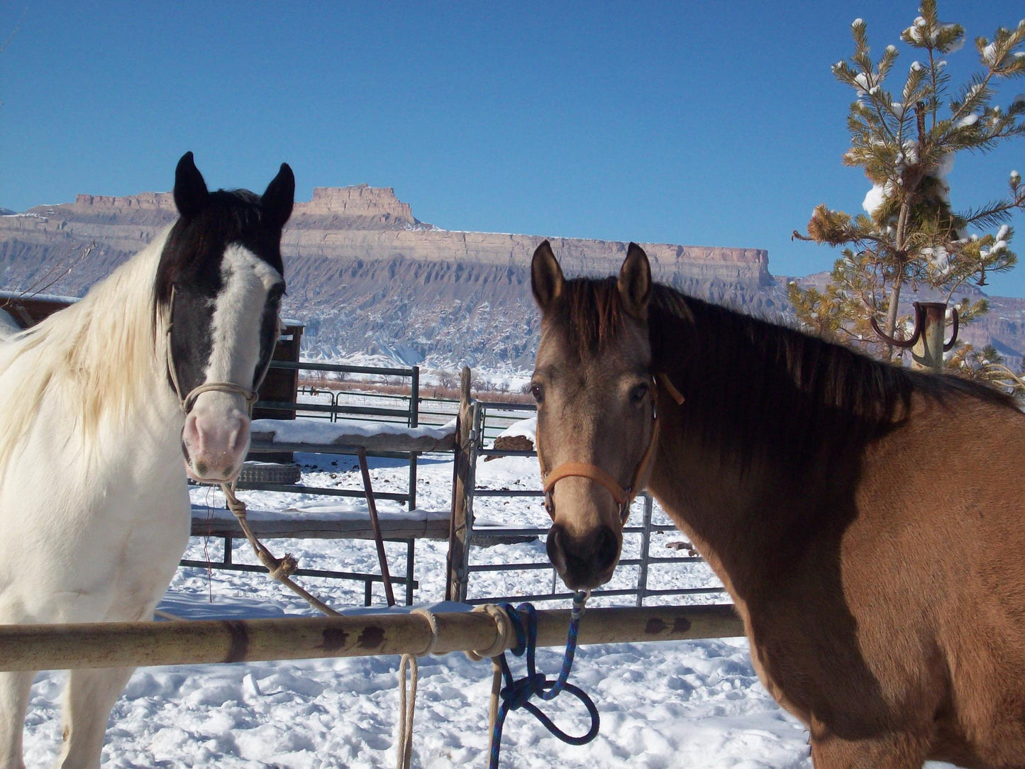 Green River Stable - UT