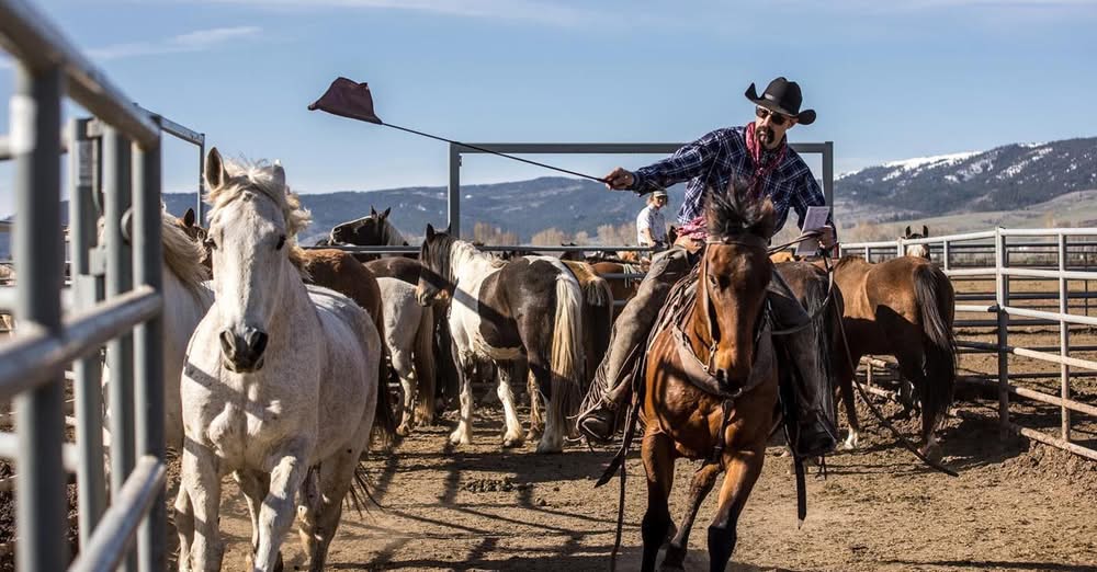 DJ Bar Ranch