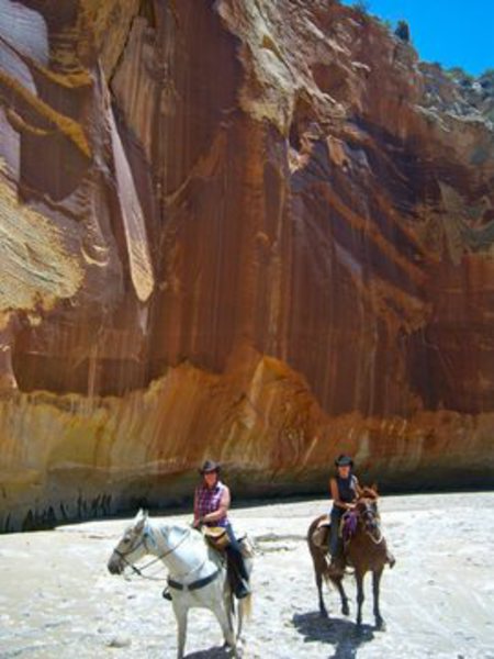 
                      
                        Mecham Outfitters: Willis Creek Slot Canyon and Escalante Grand Staircase National Monument
                      
                    