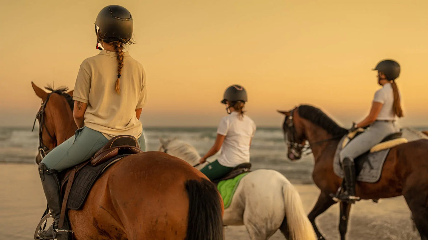 Palomino Ranch & Tours